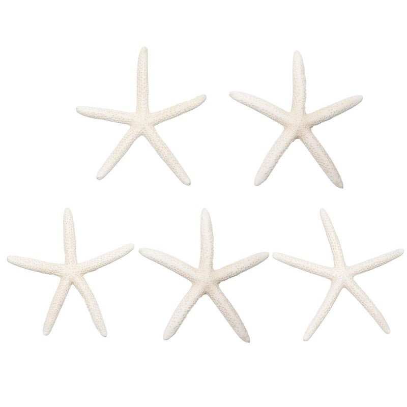 Jangostor 5 PCS Starfish 4-6 Inch Ocean Beach Starfish Natural Colorful Seashells Starfish Perfect for Wedding Decor Beach Theme Party, Home Decorations,DIY Crafts, Fish Tank - Image 1